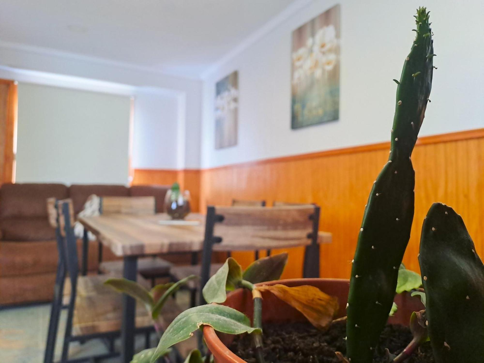 Cabanas El Rancho Πουέρτο Νατάλες Εξωτερικό φωτογραφία